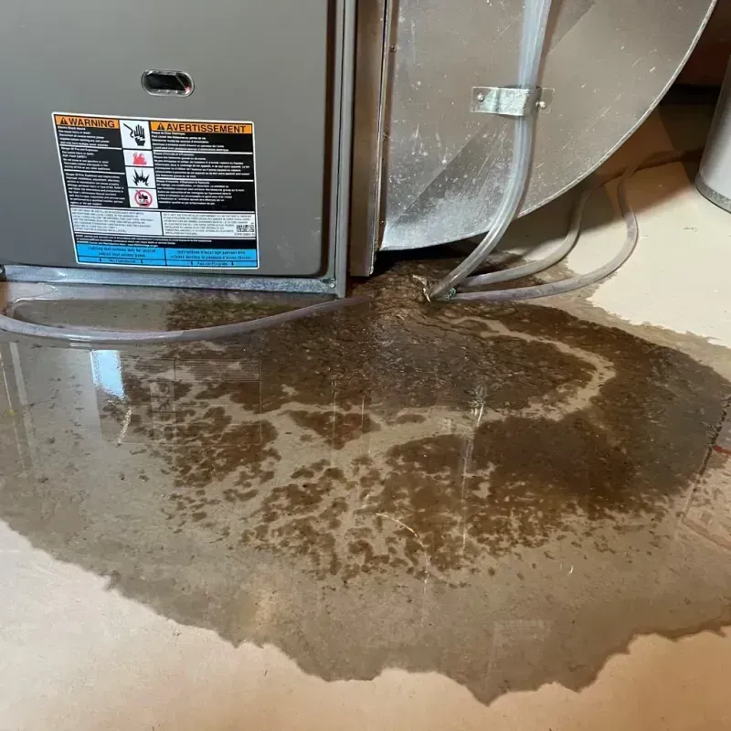 Appliance Leak Cleanup in Oyster Bay Cove, NY